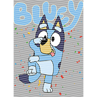 Bluey-BL 349